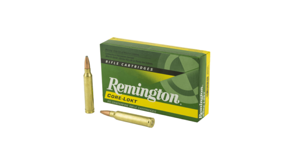 REM 300WIN 150GR PSP CL