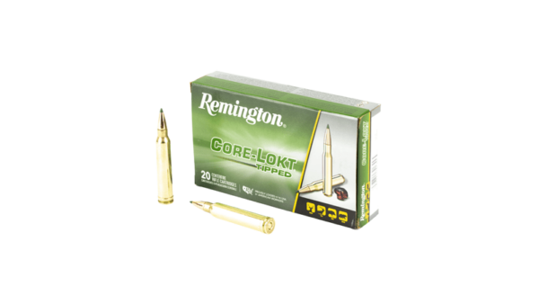 REM 300 WIN MAG 180GR CL TIP