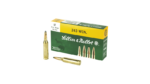 S&B 243WIN 100GR SP
