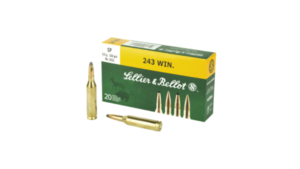 S&B 243WIN 100GR SP