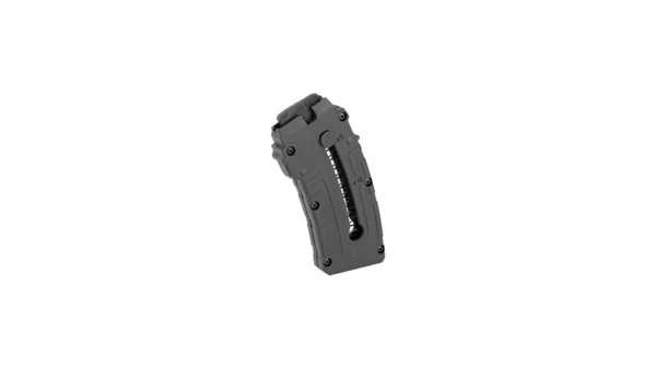 ROSSI RS22W 22WMR 10RD