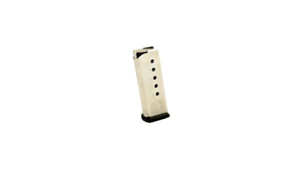 NAA GUARDIAN 380ACP 6RD STNLS