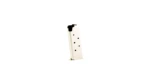 PROMAG COLT MUSTANG 380ACP NICKLE ST