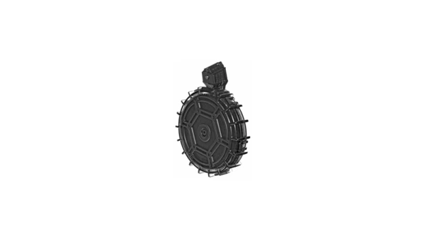 PROMAG RUG 10/22 22LR 70RD DRM SMK