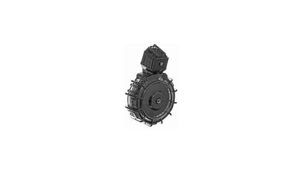 PROMAG RUG 1022 CHRGR 22LR 30RD DRM