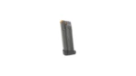 S&W M&P 22 22WMR 30RD BLK