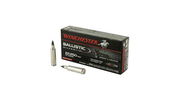 WIN BLSTC TIP 22-250 55GR