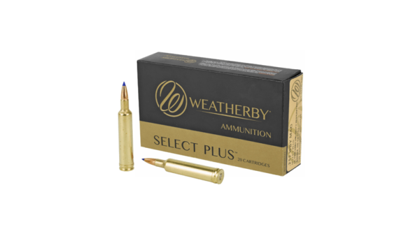 WBY AMMO 257WBY 100GR TTSX