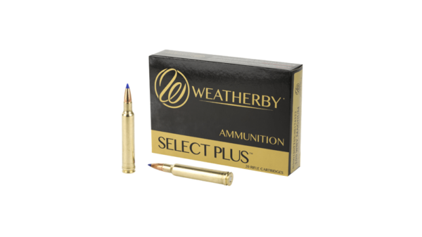 WBY AMMO 300WBY 180GR TTSX