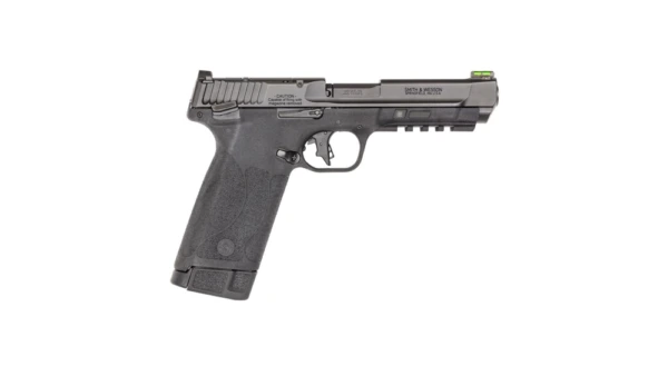 Smith & Wesson M&P 22 Magnum Handgun .22 WMR 30rd Magazines (2) 5" Barrel Black Optic Ready Fiber Optic Sight Thumb Safety