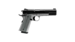 Savage 1911 Gov't Style Handgun .45 Auto 8rd Magazines (2) 5" Barrel Black and Stainless with Rail