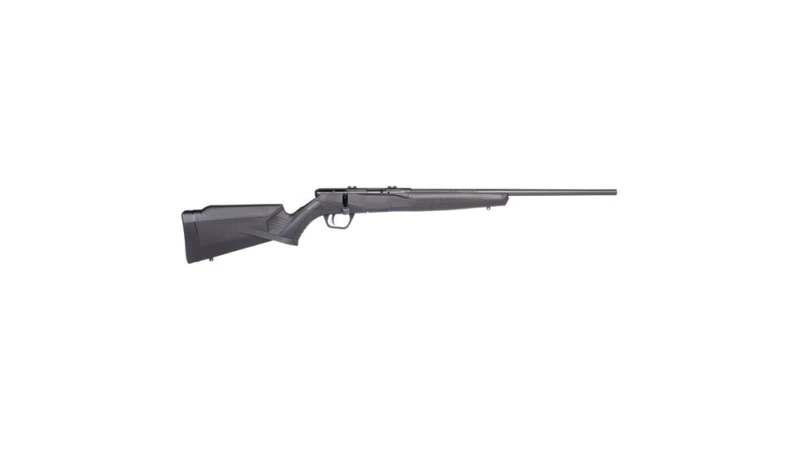 Savage Arms B17 F Rifle 17 HMR 10/rd 21" Barrel Black