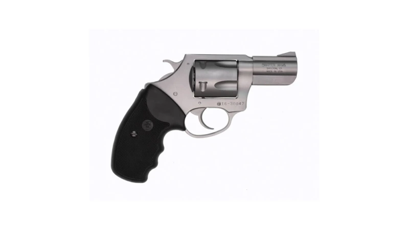 Charter Arms Pitbull .40 S&W 5rd Capacity 2.3" Barrel Stainless Full Grip