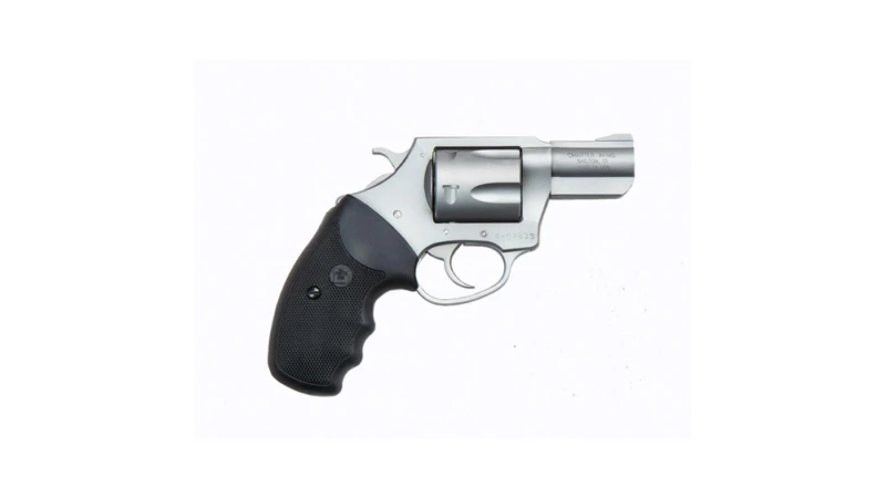 Charter Arms Pitbull Handgun 9mm Luger 5rd Capacity 2.2" Barrel Stainless with Black Grip