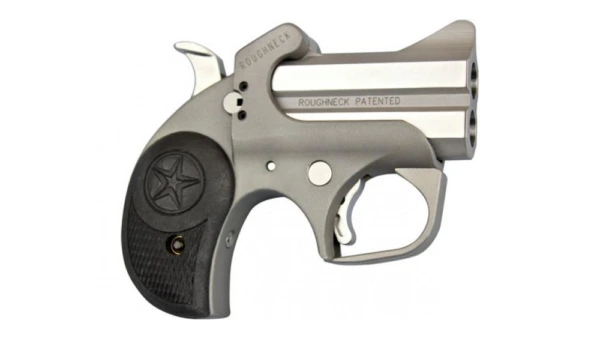 Bond Arms Roughneck Derringer 9mm Luger 2rd Capacity 2.5" Barrel