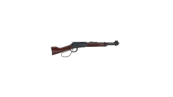 HENRY LEVER ACTION .22WMR MAG MARES LEG