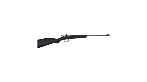 Crickett "My First Rifle" .22 LR 16" Barrel Synthetic Stock- Black