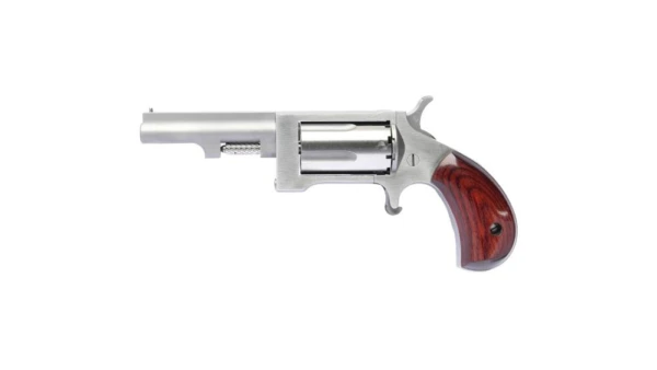 NAA SIDEWINDER 2.5" BRL 22MAG MINI REV