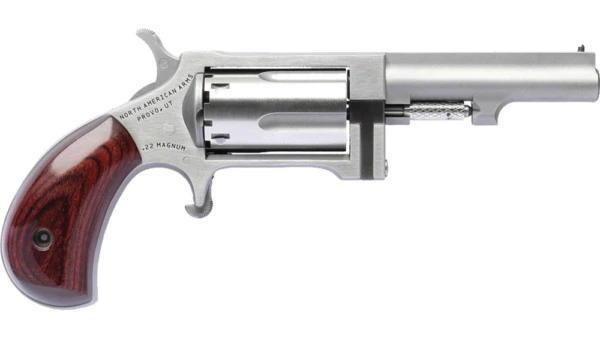 NAA SIDEWINDER 2.5" BRL 22M/22LR MINI REV